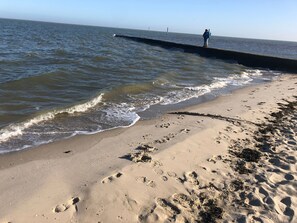 بالقرب من الشاطئ