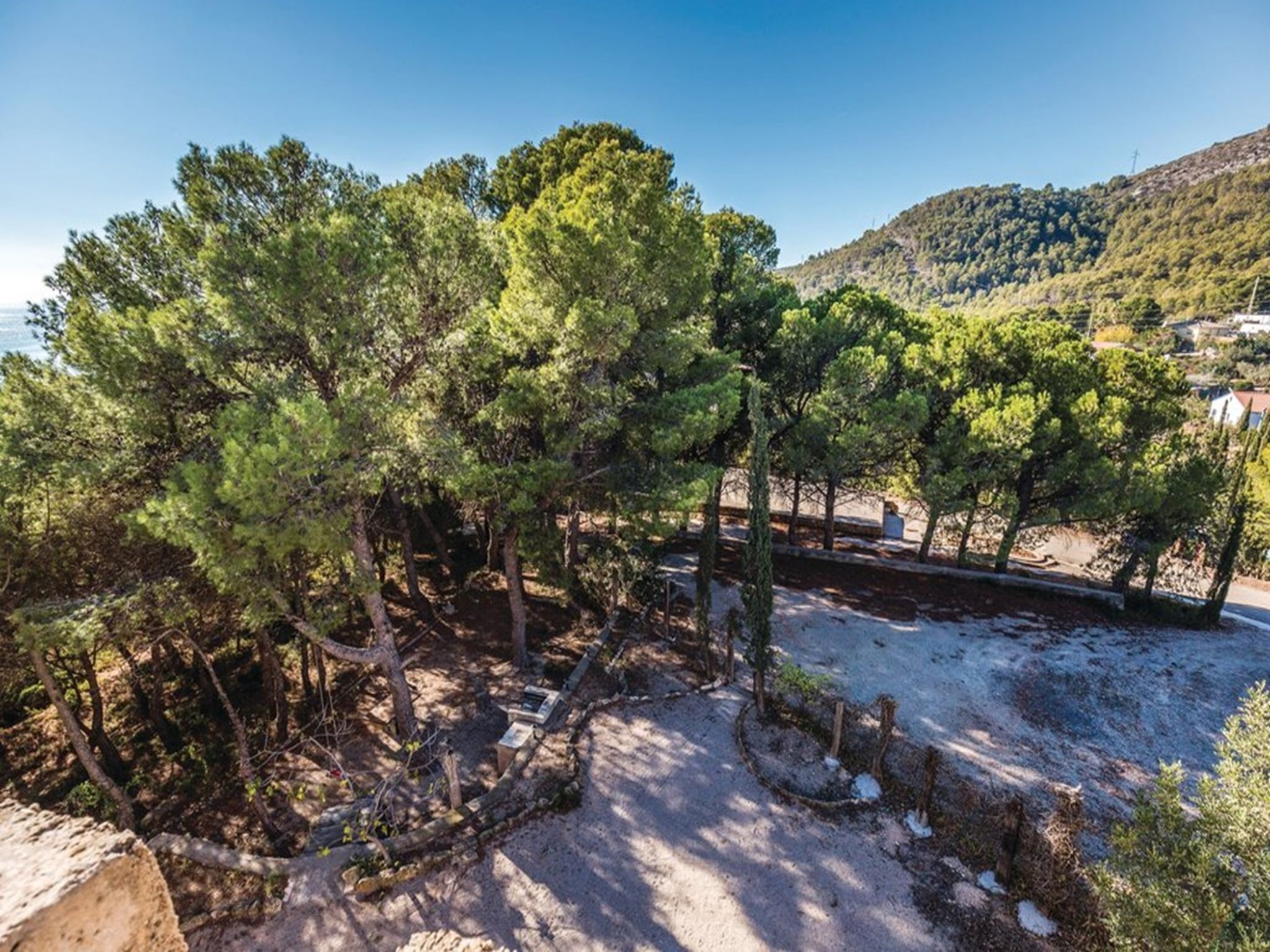 A natural landscape with dense trees and a clear sky.