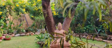 Detalle del exterior