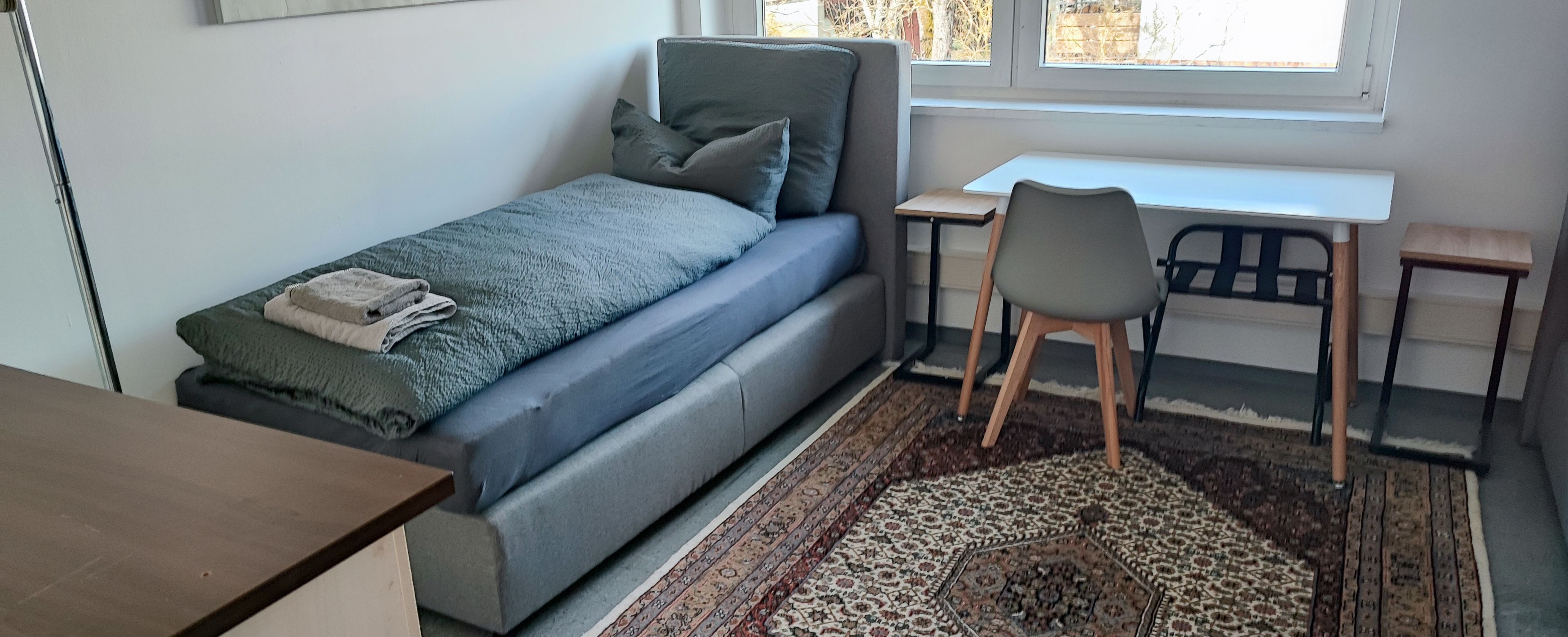 Un dormitorio pequeño con cama, escritorio, silla y alfombra.