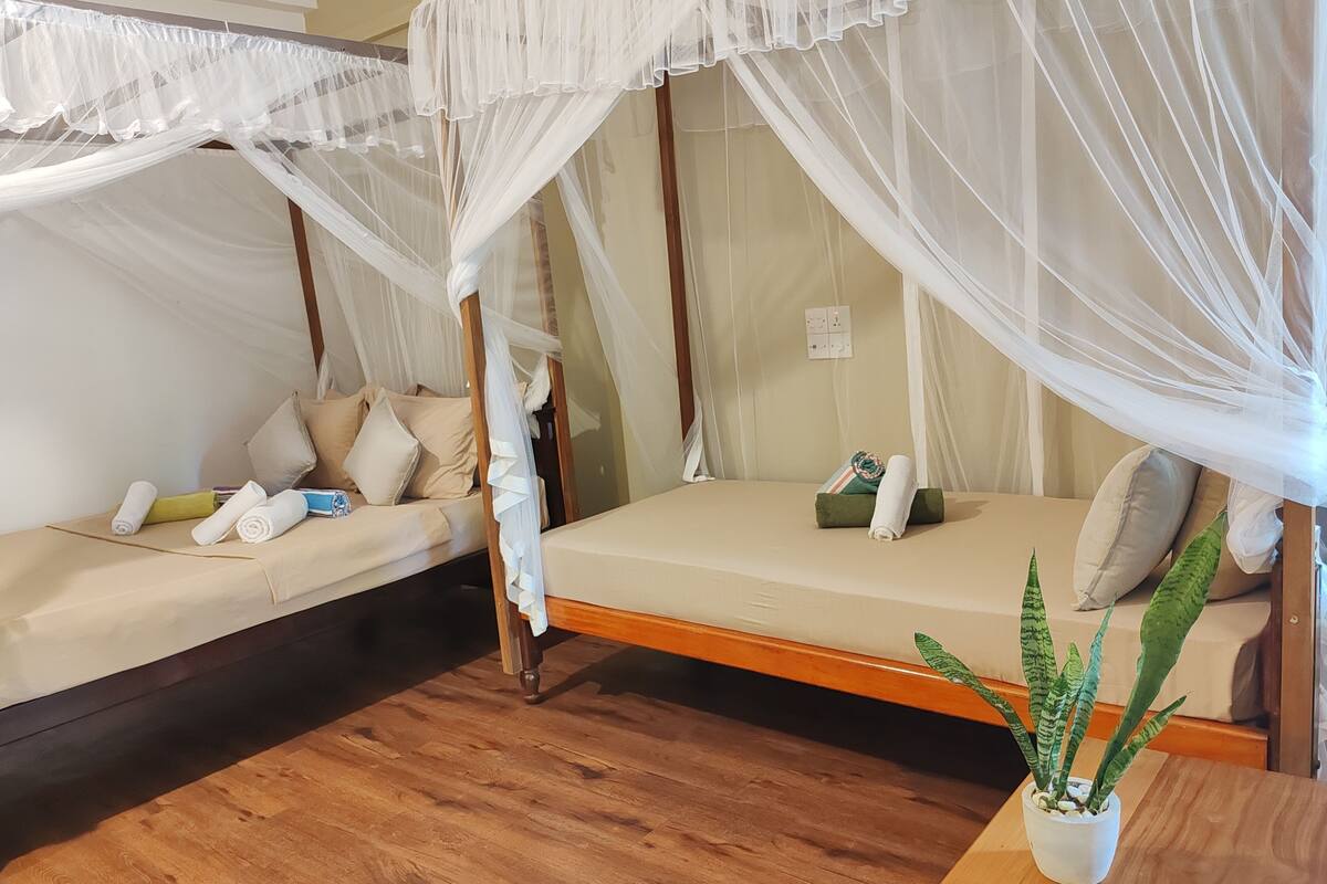 A room with two beds, each with a canopy, a wooden floor, and a potted plant on a side table.