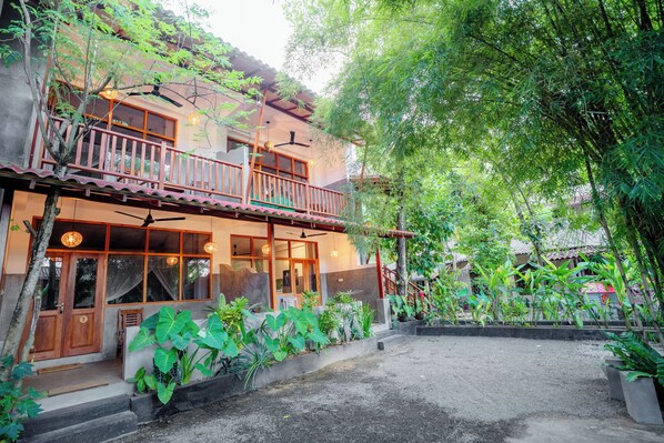 Exterior - The jungle view (Mirissa)