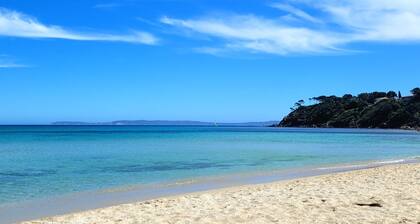 Newly renovated T3 5 minutes walk from the beach and shops