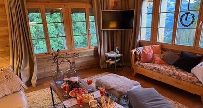 Joli appartement pour 3 personnes avec WIFI, balcon et animaux admis
