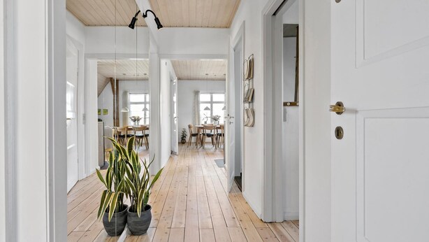 A hallway with wooden flooring, white walls, and a ceiling with exposed beams. There are two potted plants, a dining area with a table and chairs, and a door with a brass handle. - Cozy apartment in Nordborg (Nordborg)
