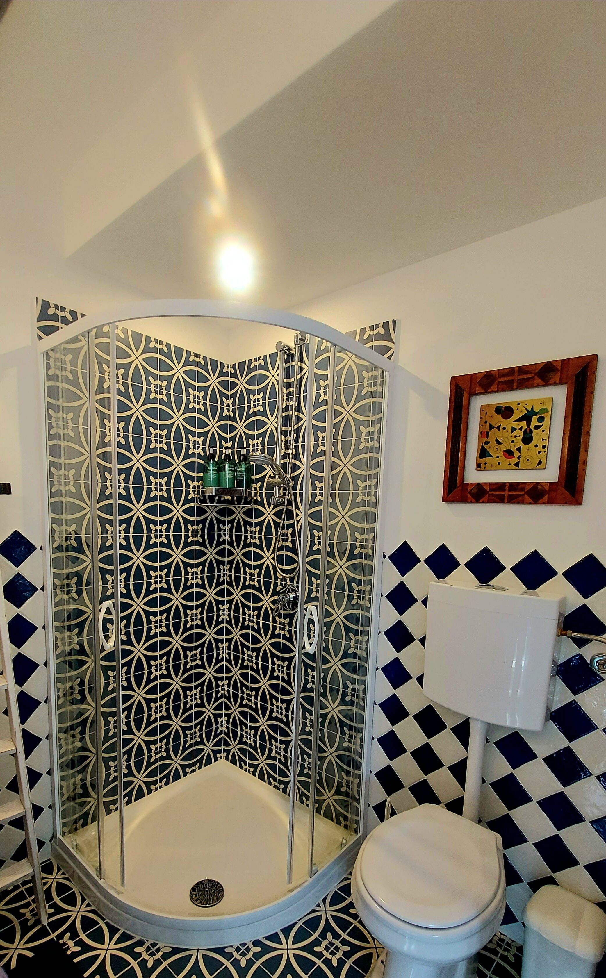 A bathroom with a shower enclosure, toilet, and patterned tiles.