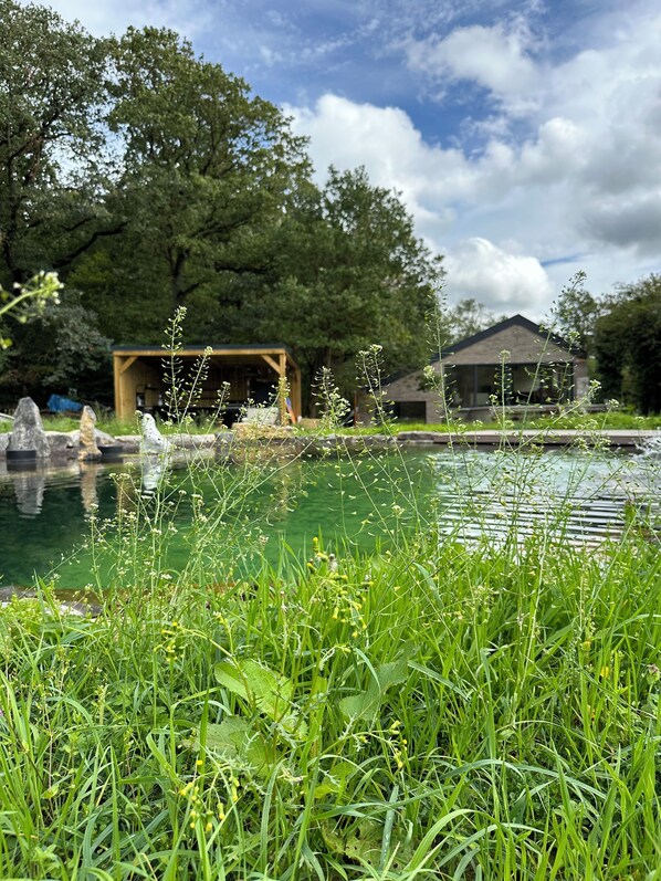 Piscine extérieure (ouverte en saison)