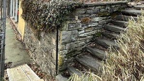 A yellow house with a stone staircase leading up to a door. - Charming 1-bedroom cottage on Wissahickon Park in Chestnut Hill (Philadelphia)