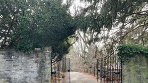 A gated entrance with a concrete wall and metal gate, surrounded by trees and foliage. - Charming 1-bedroom cottage on Wissahickon Park in Chestnut Hill (Philadelphia)