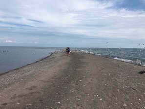 Am Strand, Liegestühle, Strandtücher