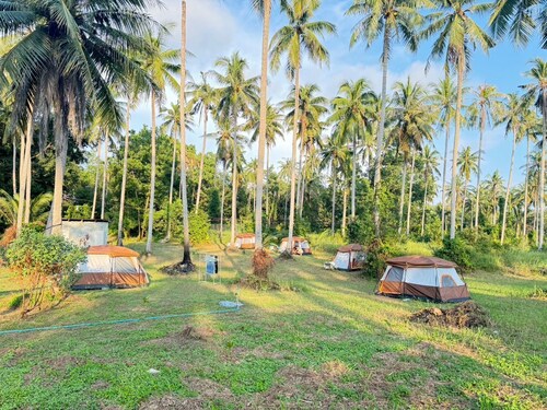 Tent Room Koh Kood
