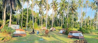 Tent Room Koh Kood