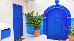 A narrow alleyway with two blue doors and potted plants. - Cozy Elegant Apartment - Rabat Center- Free Parking & AirC & Internet (Rabat)