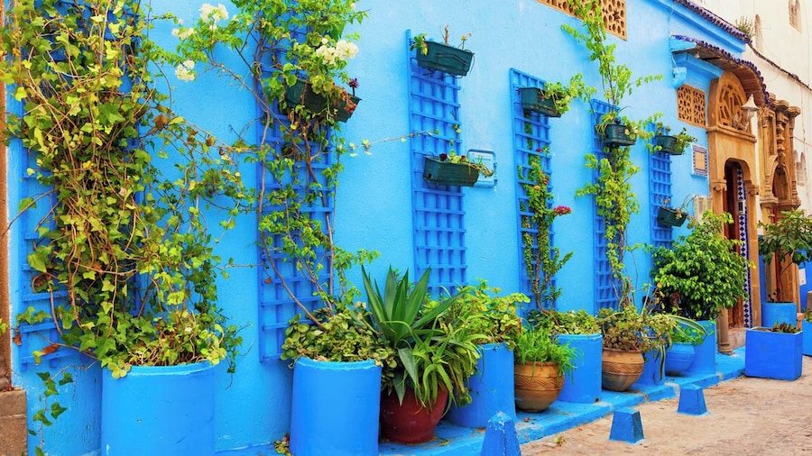 Appartement Cozy & Elégant-Centre Rabat