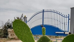 A cactus plant in the foreground with a blue gate and a stone wall in the background.