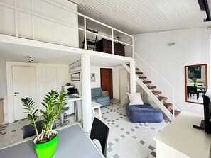 TV, DVD player, books, video library