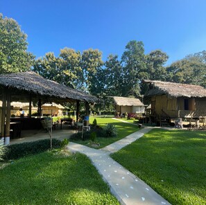 Um pátio com construções de telhado de palha, um caminho pavimentado e vegetação exuberante.