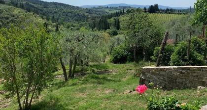 Our cottage, in the beautiful Tuscan countryside, not far from the cities of art