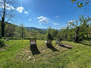 Property grounds - Character cottage for 10, valley view, near skiing (Fraize)