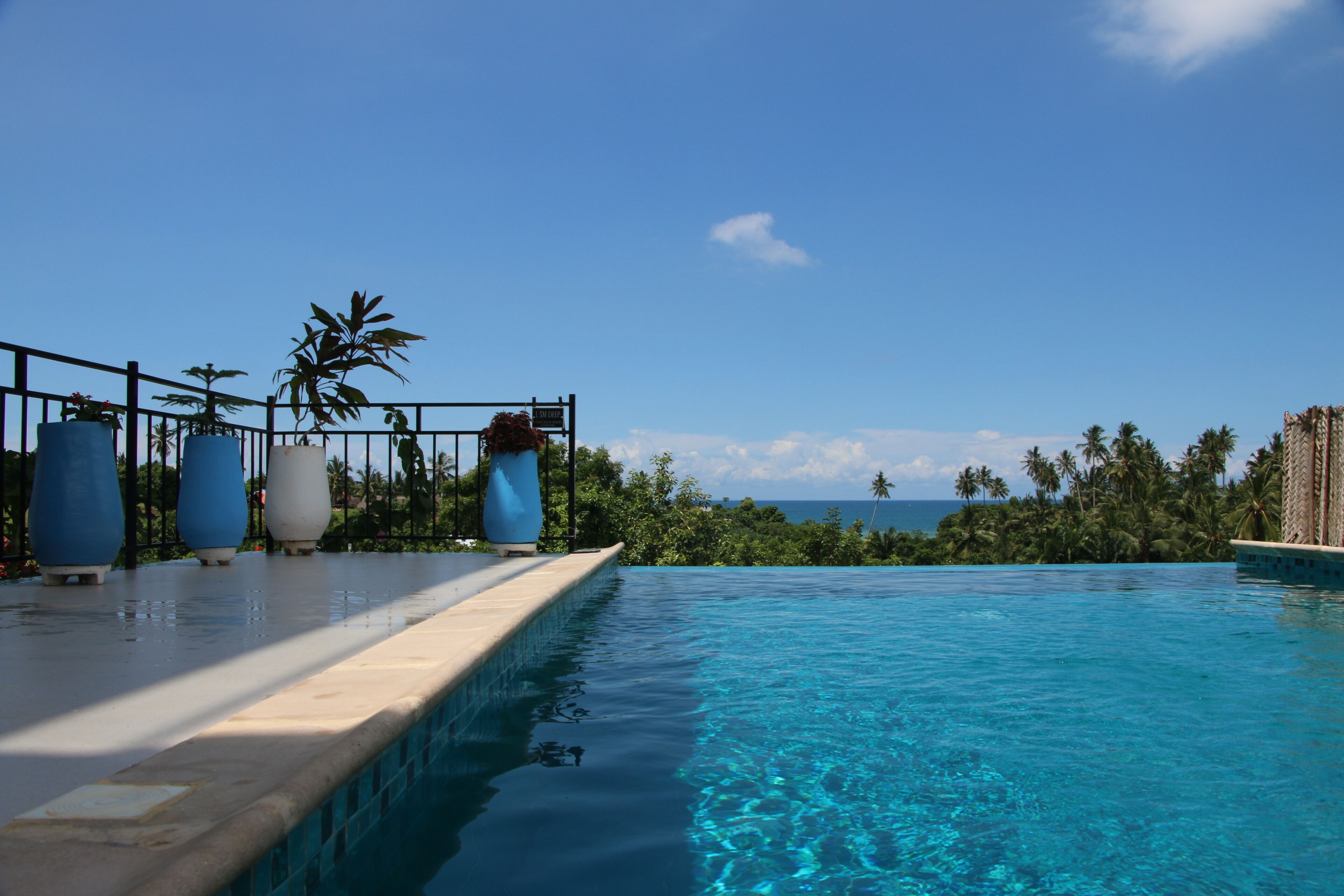 A clear blue pool with a view of the ocean and palm trees.