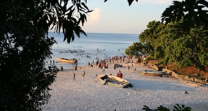 Luxury Zanzibar Villa – Ocean View, Infinity Pool, Lush Green & Stunning Sunsets
