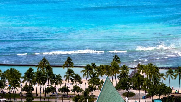 Una playa con palmeras y vista al océano.