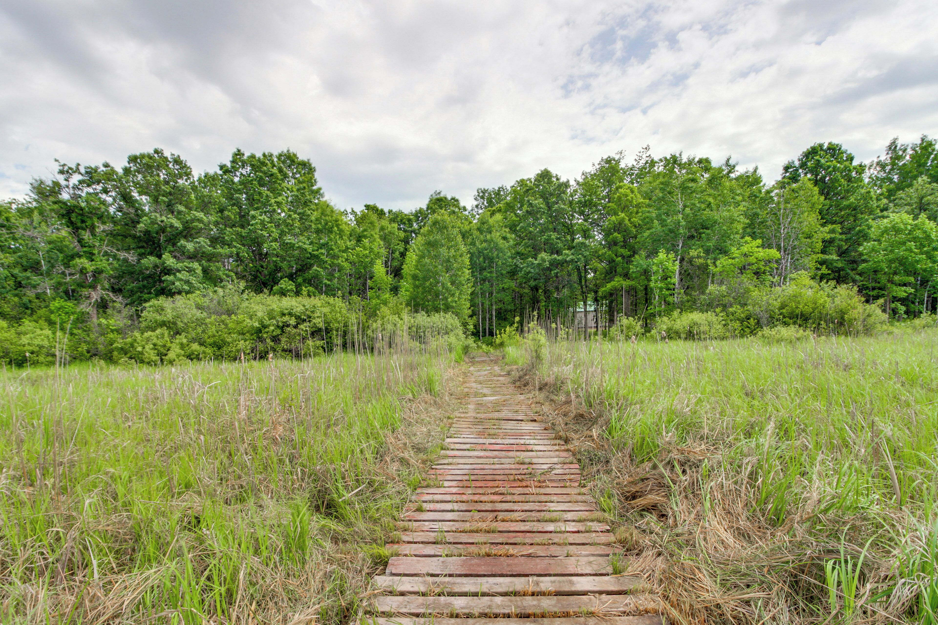 A pathway through a grassy field with trees on both sides.