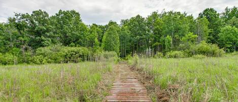 A pathway through a grassy field with trees on both sides.