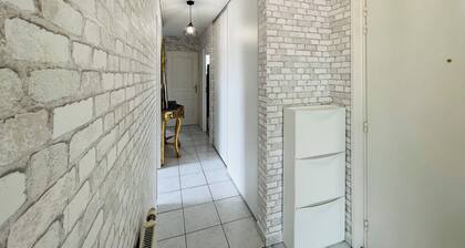 Very bright 54 m² apartment with 44 m² roof terrace