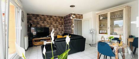 智能电视、DVD 播放器、立体声音响、电脑显示器