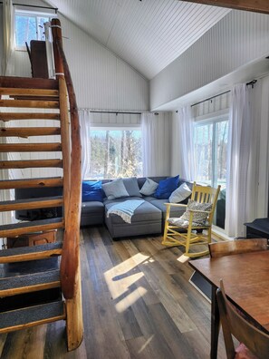 Smart TV, fireplace, DVD player, books