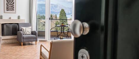 Smart TV, caminetto, libri