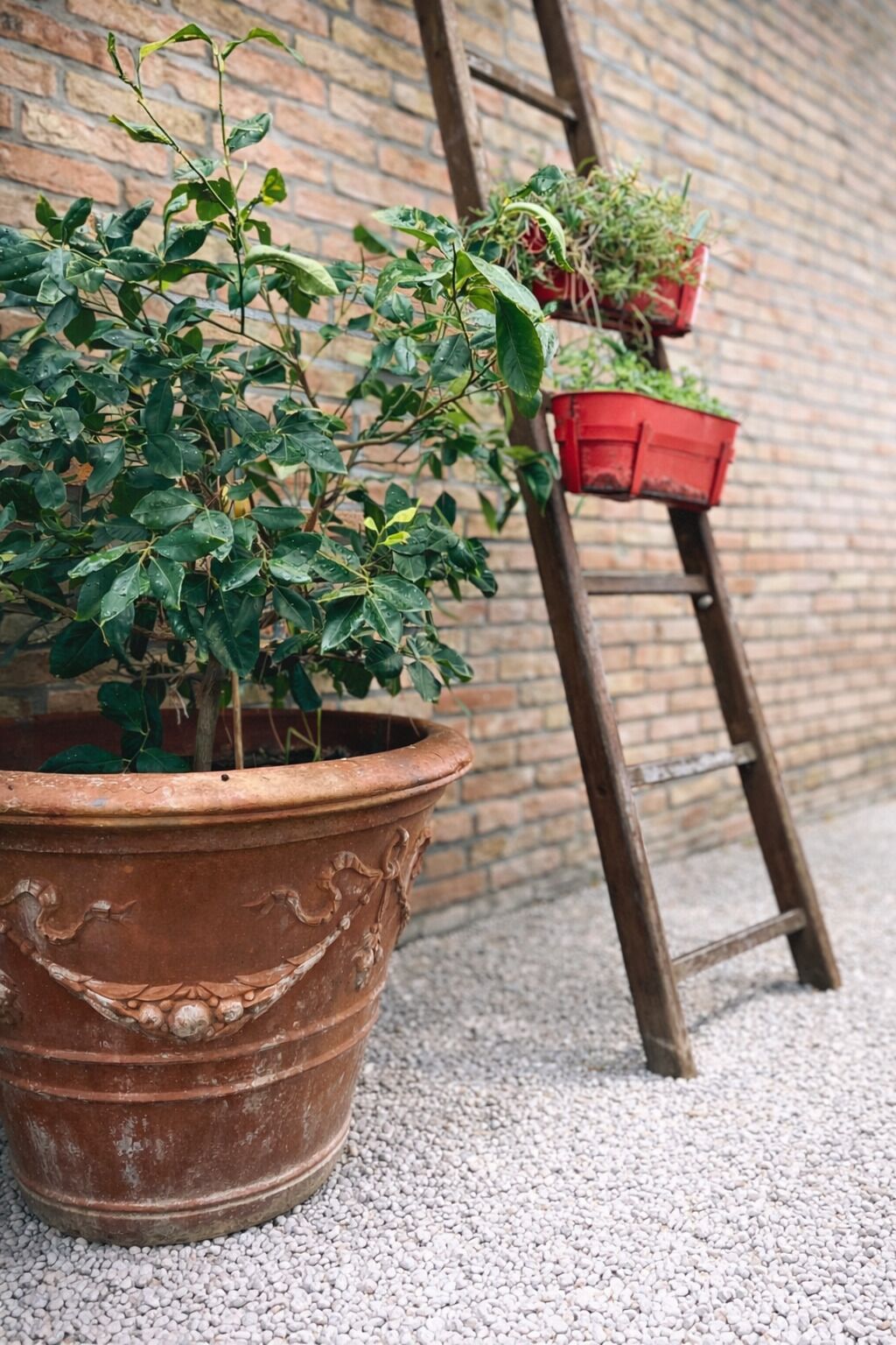 Enceinte de l’hébergement