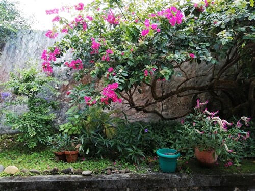 Detached town house with garden