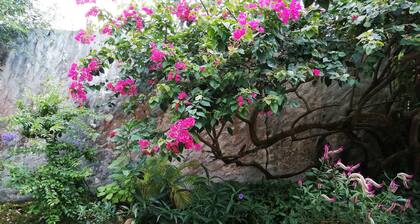 Detached town house with garden