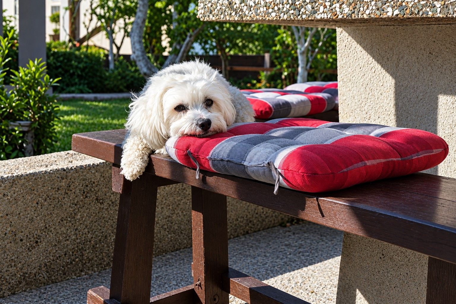 A small white dog resting on a wooden bench with a cushion.