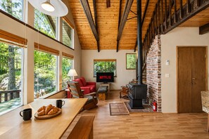 Smart TV, chimenea, reproductor de DVD y libros 