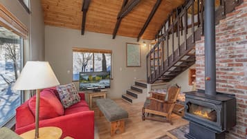 Smart TV, chimenea, reproductor de DVD y libros