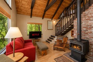 Smart TV, chimenea, reproductor de DVD y libros 