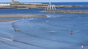 Vissen