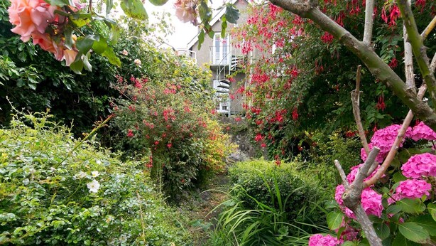 A lush garden with various flowering plants and a stone wall in the background.