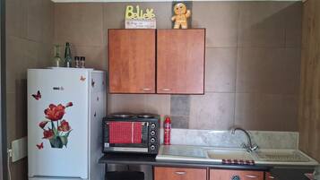 Microwave, oven, stovetop, cookware/dishes/utensils