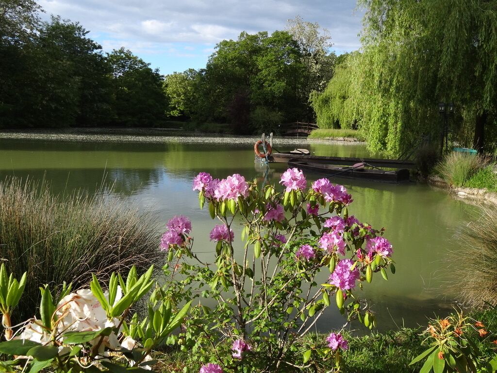 Un lac paisible, avec une jetée en bois et un saule pleureur.