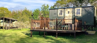 Lilly's Pad