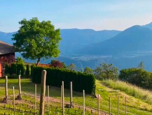 Property grounds - Idyllic mountain chalet "Platzl" in Vöran - your retreat in the Alps (Vöran)