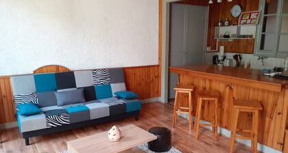 10 minutes from GOURETTE and the Pyrenees National Park SUPERB APARTMENT