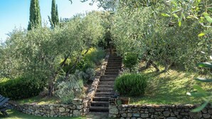 Un escalier en pierre menant au sommet d’une colline, entouré d’oliviers et de verdure.