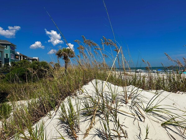 在海灘附近、躺椅