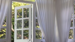 A room with a large window featuring white curtains, a view of greenery outside, and a small bird perched on the window sill. - Greenwood Edge Kandy (Kandy)