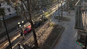A street view with a tree-lined sidewalk, a parked scooter, and a red car.